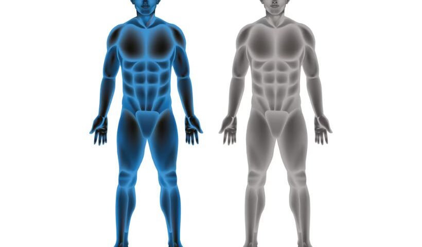 Body composition