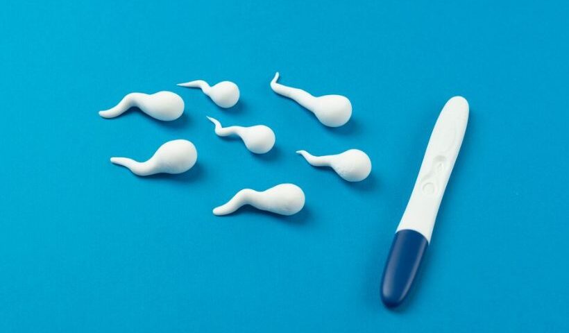 Contraceptive implants