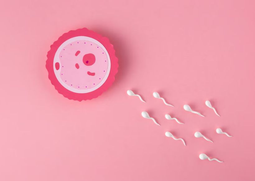 Hormonal Birth Control